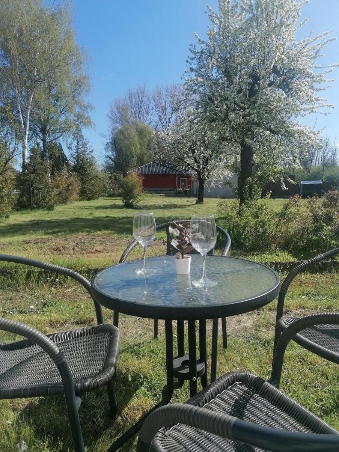 Ferienwohnung IV Sarrebriese Wanzleben-Borde Esterno foto